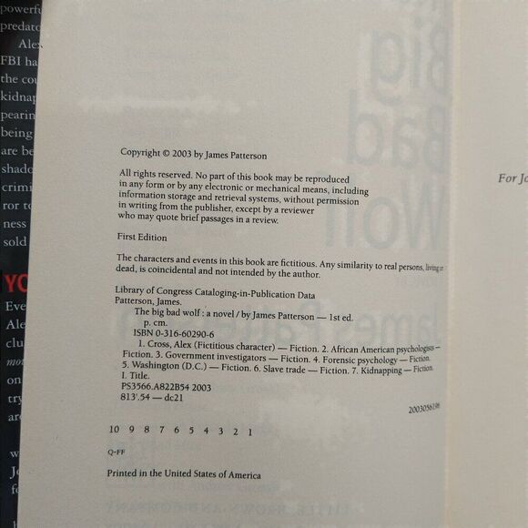 The Big Bad Wolf James Patterson Hardcover - Picture 2 of 5